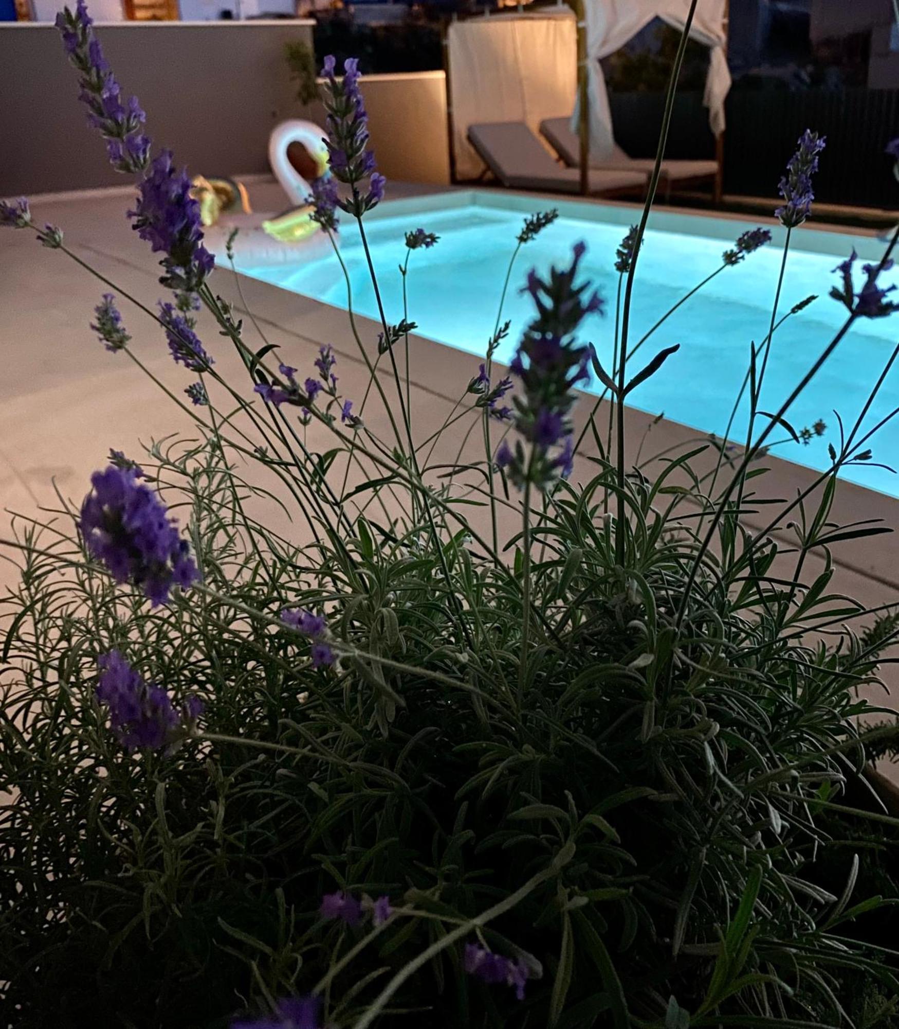 Villa 5 Makarska Exteriör bild